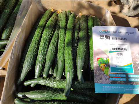 微生物菌劑，拉姆拉，翠姆