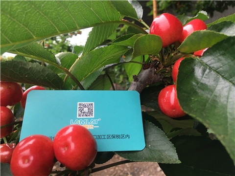 大量元素水溶肥，拉姆拉，翠姆