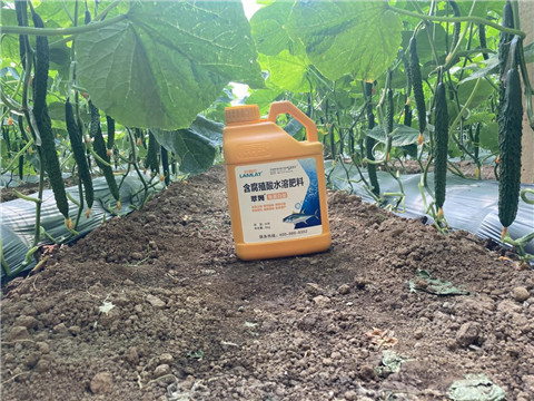 作物施肥管理，拉姆拉，翠姆