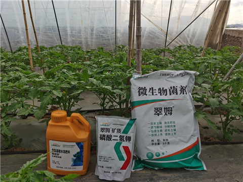 水溶肥，拉姆拉，翠姆