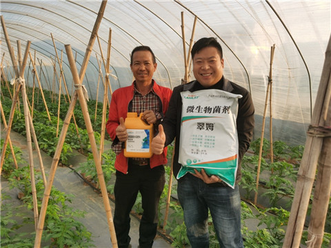 水溶肥，拉姆拉，翠姆