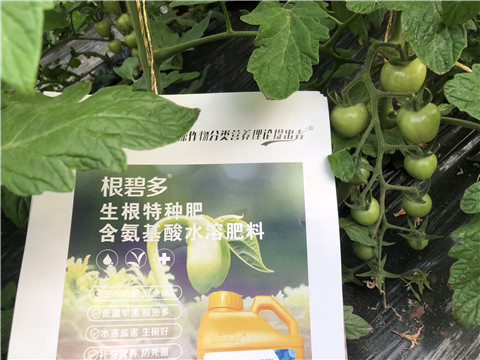 水溶肥，拉姆拉，翠姆