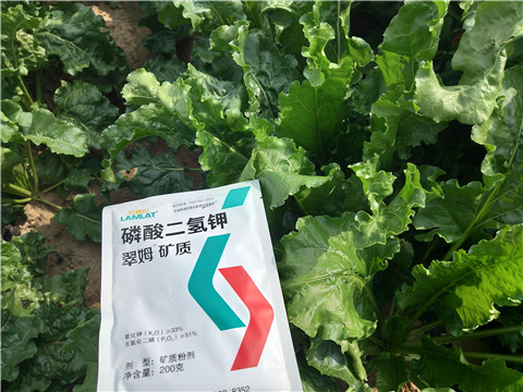 水溶肥，拉姆拉，翠姆