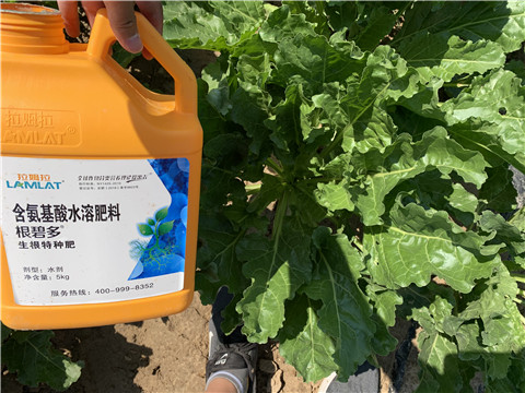 水溶肥，拉姆拉，翠姆