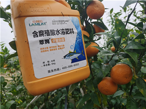 水溶肥，拉姆拉，翠姆