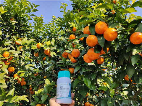 葉面肥，拉姆拉，翠姆