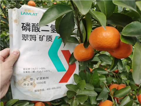 水溶肥，拉姆拉，翠姆