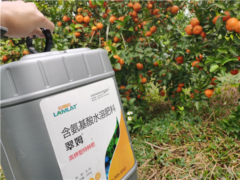 水溶肥，拉姆拉，翠姆