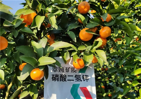 磷酸二氫鉀，拉姆拉，翠姆