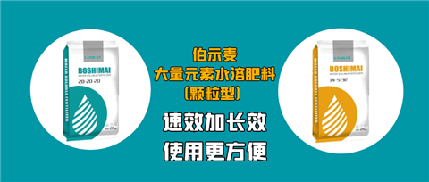 顆粒肥，拉姆拉，翠姆