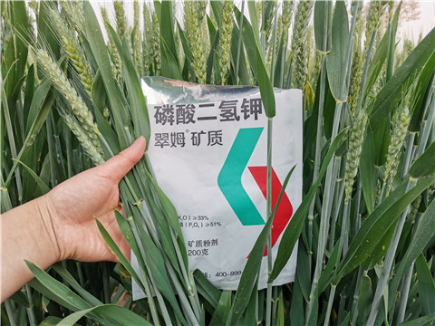 葉面肥，水溶肥，磷酸二氫鉀