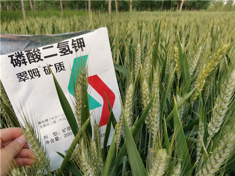 葉面肥，水溶肥，磷酸二氫鉀