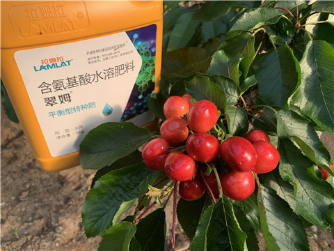 氨基酸水溶肥，拉姆拉，翠姆