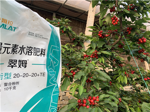 大量元素水溶肥，拉姆拉，翠姆