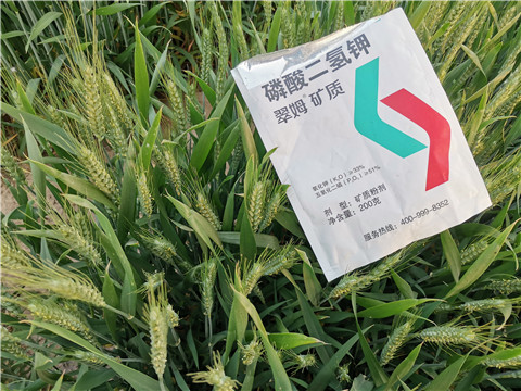 水溶肥，拉姆拉，翠姆