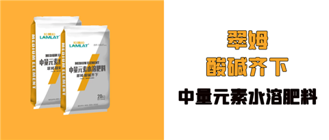 水溶肥，拉姆拉，翠姆