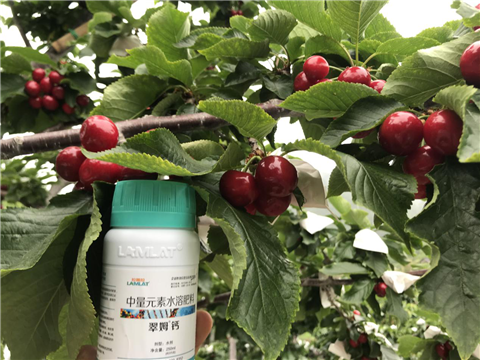 水溶肥，拉姆拉，翠姆