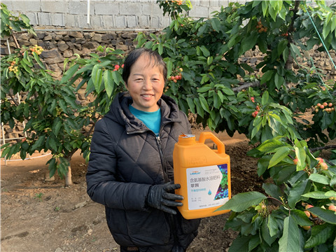 水溶肥，拉姆拉，翠姆