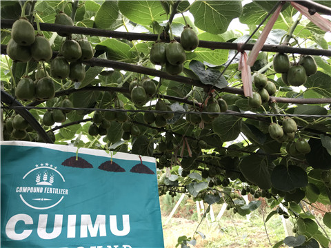 顆粒復(fù)合肥，拉姆拉，翠姆