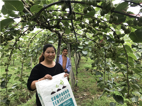 顆粒復(fù)合肥，拉姆拉，翠姆