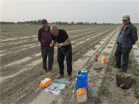 水溶肥，拉姆拉，翠姆