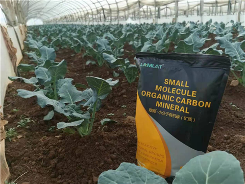 小分子有機(jī)碳，拉姆拉，翠姆