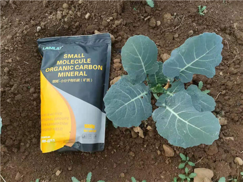 小分子有機(jī)碳，拉姆拉，翠姆