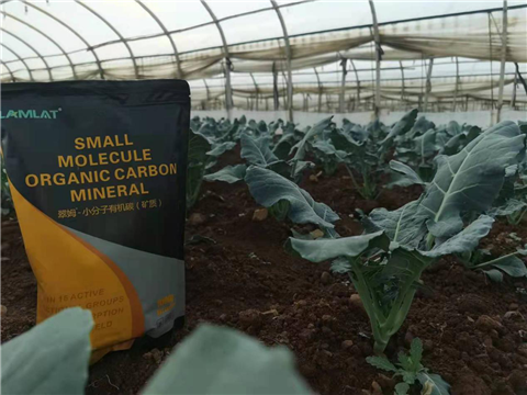 小分子有機(jī)碳，拉姆拉，翠姆