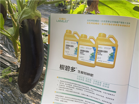 水溶肥，拉姆拉，翠姆