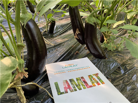 水溶肥，拉姆拉，翠姆