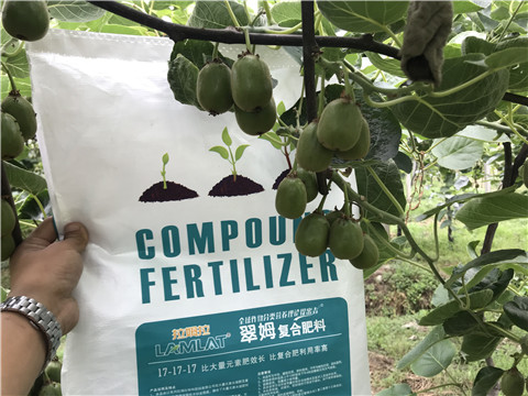 顆粒水溶肥，拉姆拉，翠姆