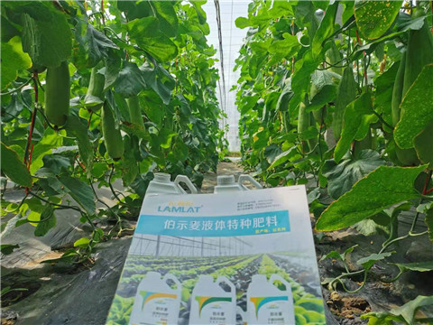 水溶肥，拉姆拉，翠姆