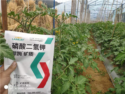 磷酸二氫鉀，拉姆拉，翠姆