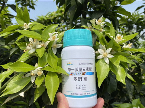 葉面肥，拉姆拉，翠姆