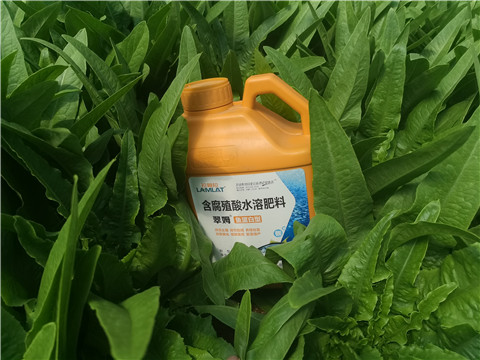 沖施肥，拉姆拉，翠姆