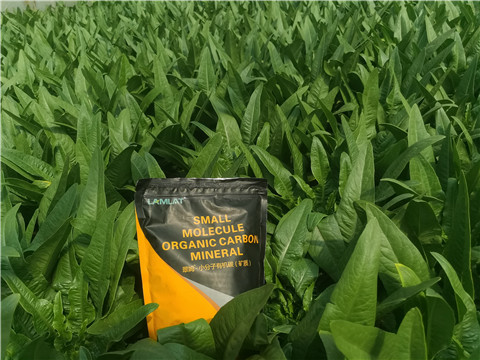 礦源黃腐酸鉀，拉姆拉，翠姆