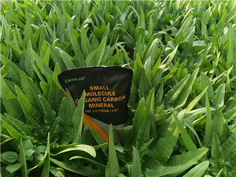 礦源黃腐酸鉀，拉姆拉，翠姆