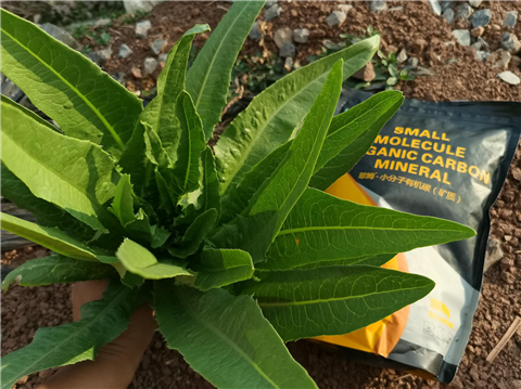 礦源黃腐酸鉀，拉姆拉，翠姆