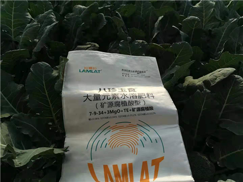 大量元素水溶肥，拉姆拉，翠姆