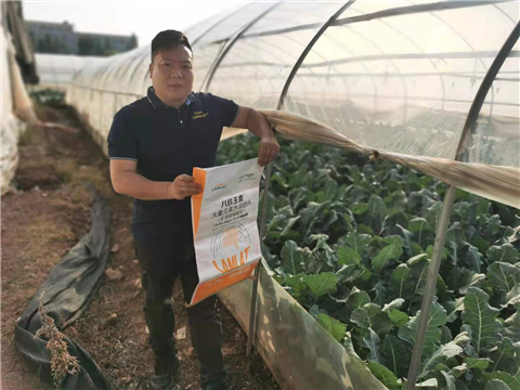 大量元素水溶肥，拉姆拉，翠姆