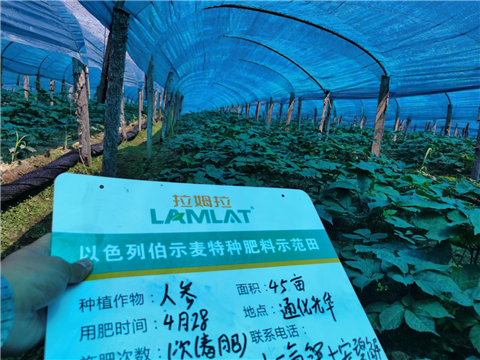 水溶肥，拉姆拉，翠姆