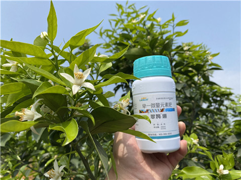 硼肥，拉姆拉，翠姆