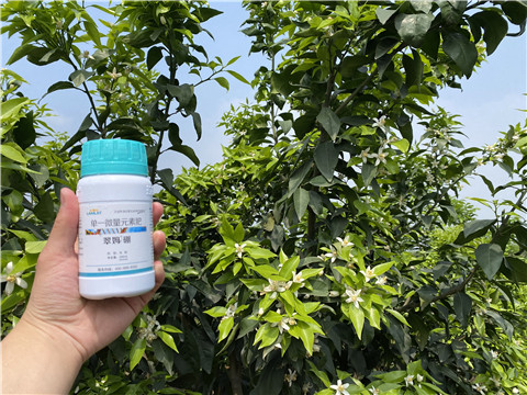 硼肥，拉姆拉，翠姆