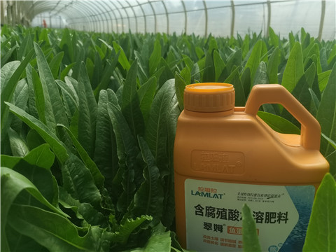 水溶肥，翠姆，拉姆拉