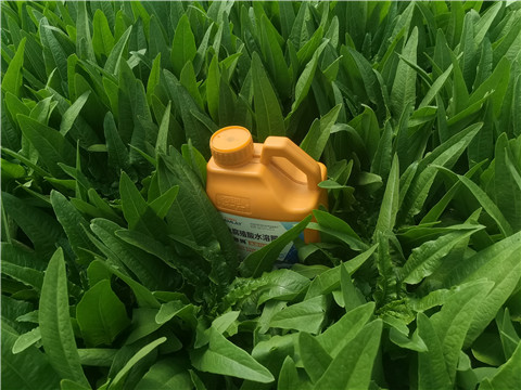 水溶肥，翠姆，拉姆拉