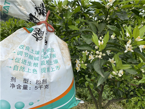 水溶肥，翠姆，拉姆拉