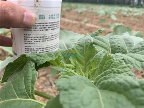 水溶肥，翠姆，拉姆拉