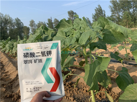 水溶肥，翠姆，拉姆拉