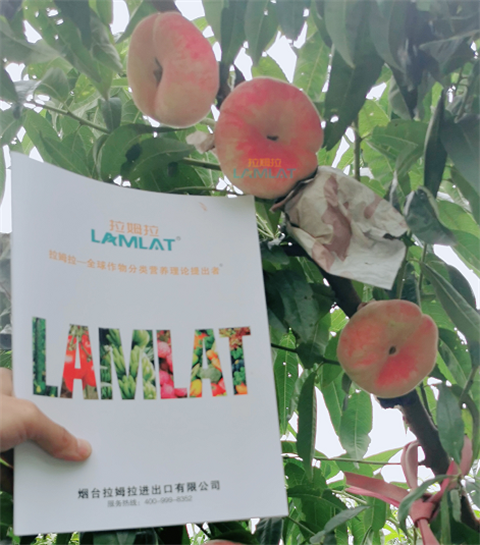 水溶肥，翠姆，拉姆拉