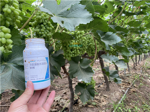 水溶肥，翠姆，拉姆拉